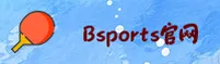 【官方】BSports手机版 - 2025全新入口